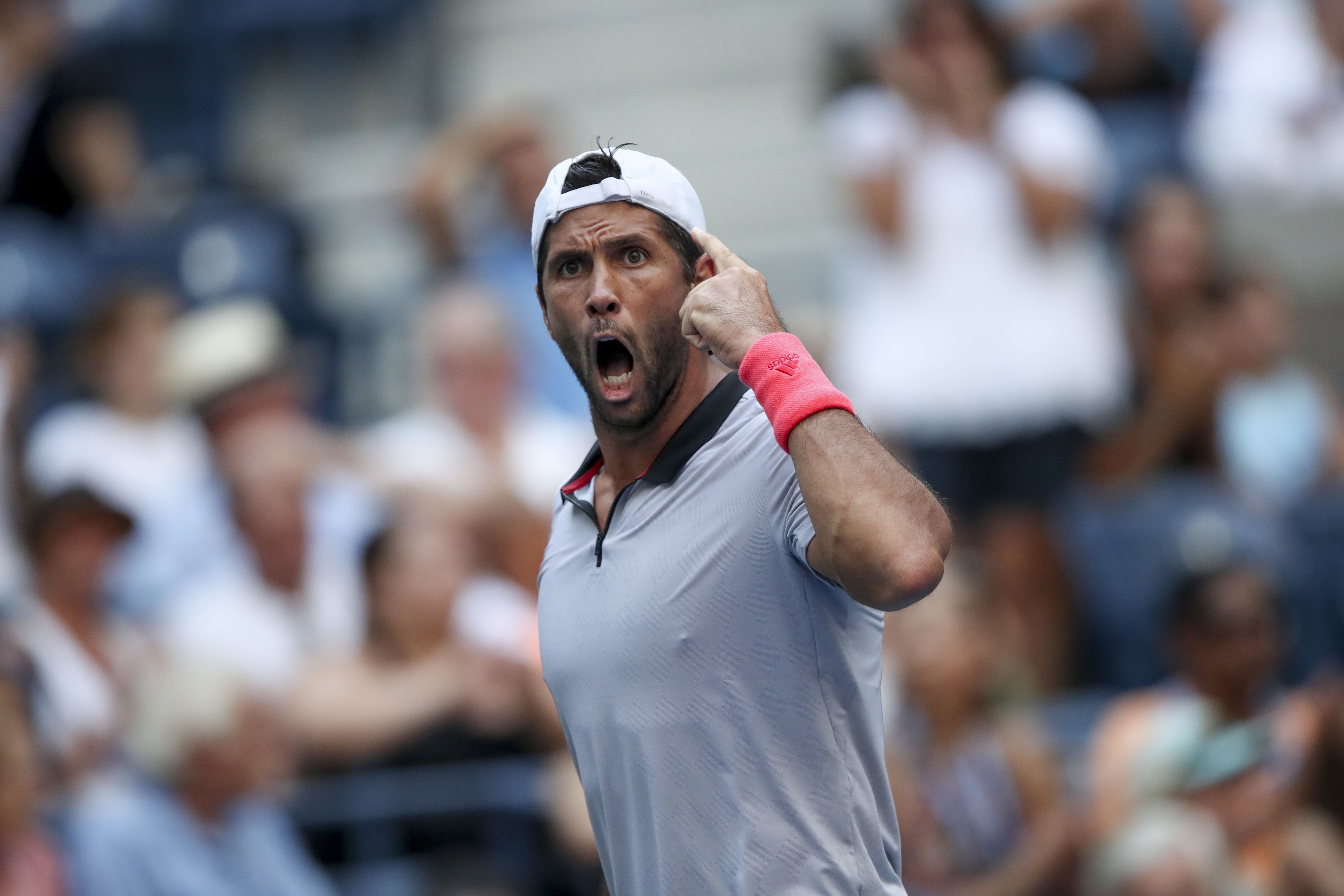 -关于美网翻盘戴维斯杯，穆雷高光表现的信息