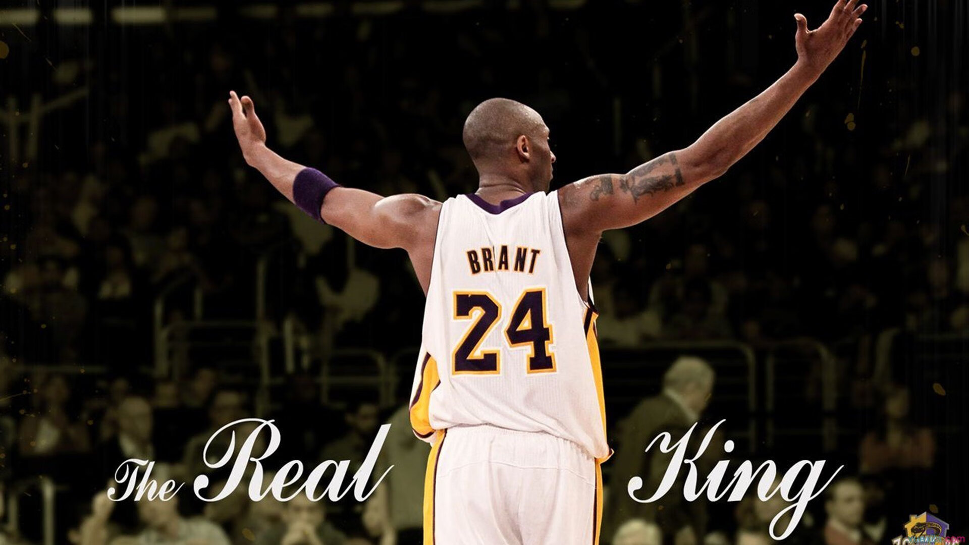 一堂防守拆解公开课,拉文如何用广厦的盾教会深圳进攻