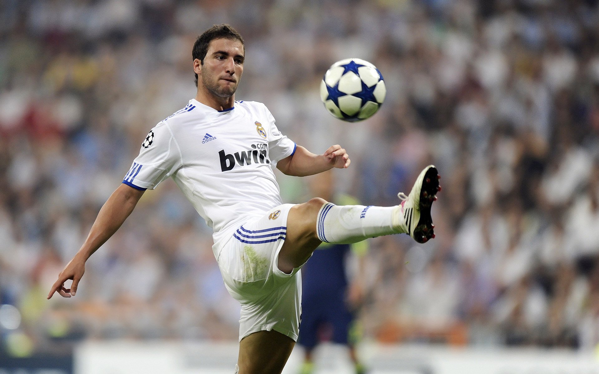 两重战场，一次击穿，蒂姆那记逆转时间的关键球